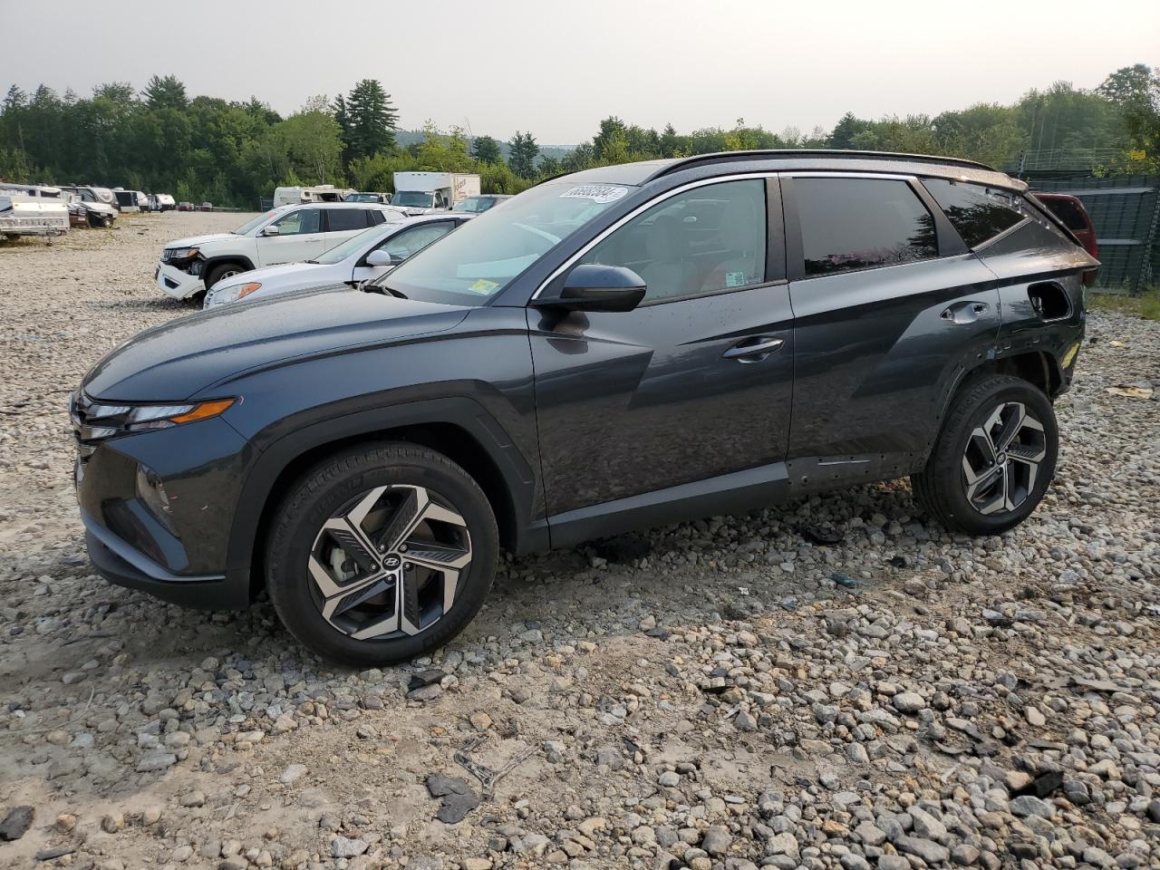 2024 HYUNDAI TUCSON SEL VIN:5NMJFCDE9RH339623