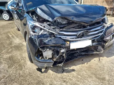 2017 Hyundai Santa FE KMHSW81UBJU816502 VIN:KMHSW81UBJU816502