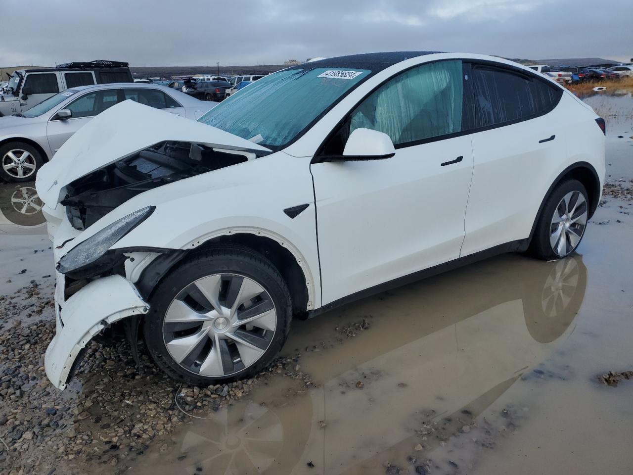 2023 TESLA MODEL Y  VIN:7SAYGDEE1PF600356