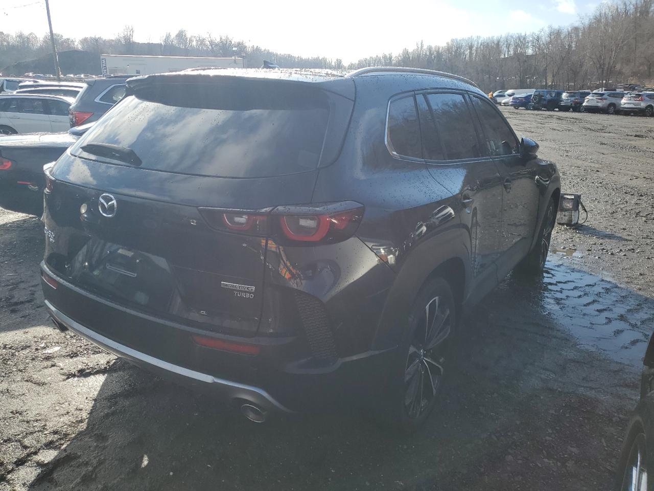 2024 MAZDA CX-50 PREMIUM PLUS VIN:7MMVABEY1RN170011