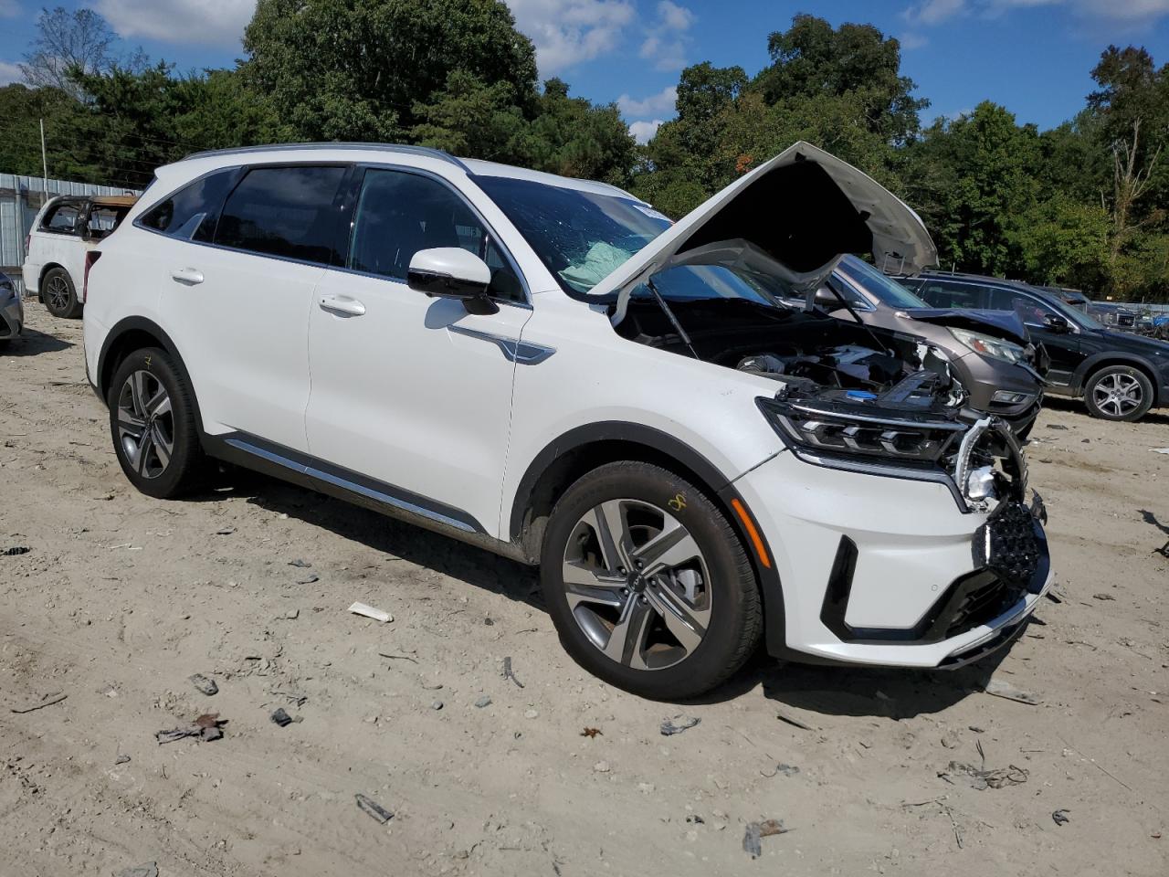 2023 KIA SORENTO SXP VIN:KNDRKDLG8P5199393