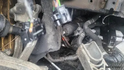 2020 BMW M8 WBSGV010XLCE52650 VIN:WBSGV010XLCE52650