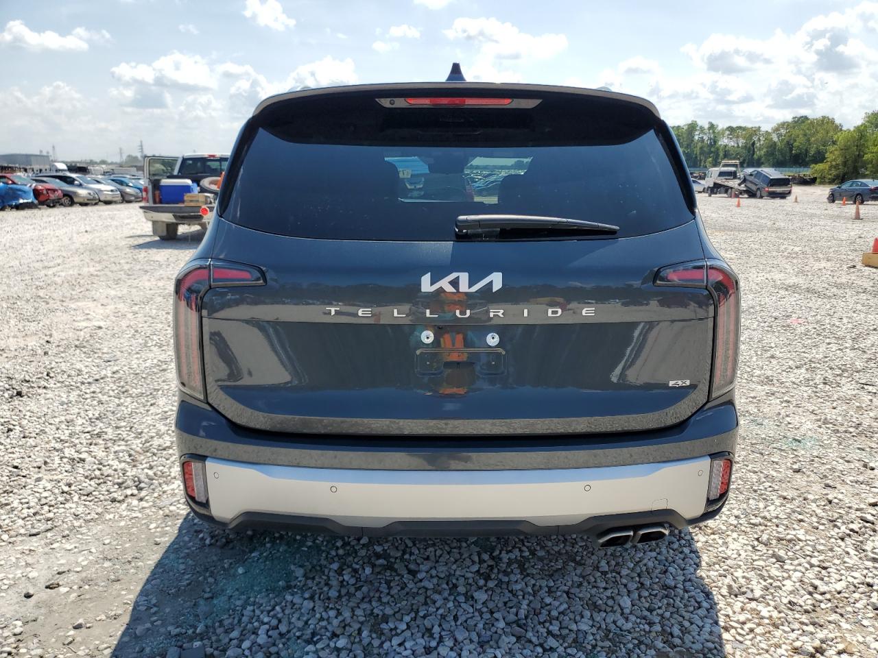 2024 KIA TELLURIDE SX VIN:5XYP5DGC8RG459890