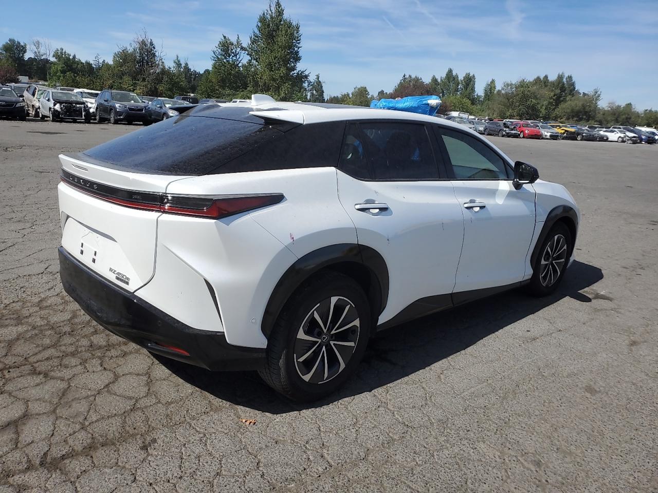 2024 LEXUS RZ 450E VIN:JTJAAAAB1RA025114