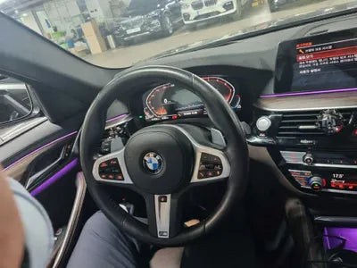 2020 BMW 520 WBAJF5100LWW58480 VIN:WBAJF5100LWW58480