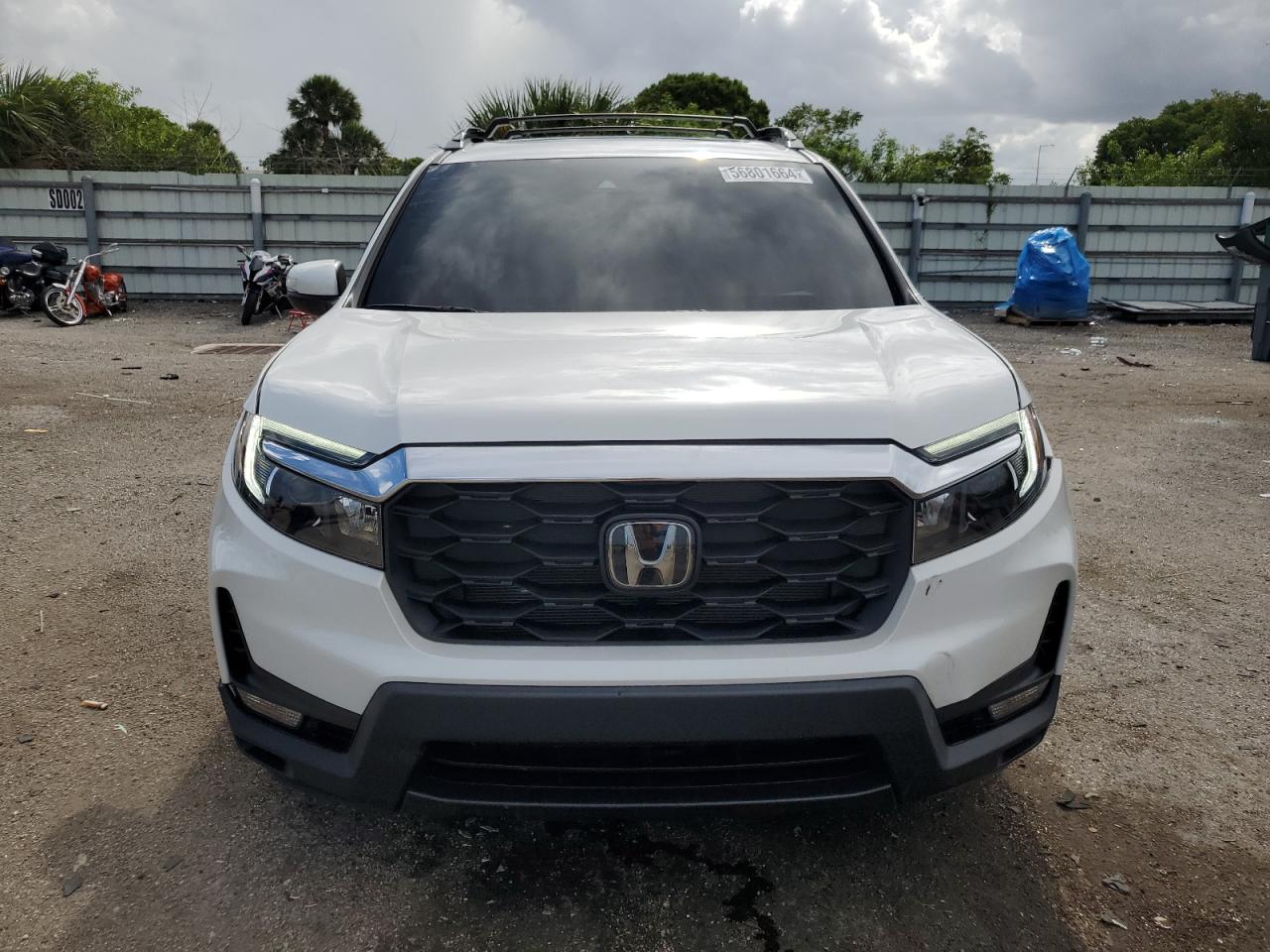 2023 HONDA PASSPORT EXL VIN:5FNYF8H5XPB001801