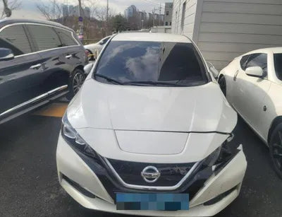 2019 Nissan Leaf VIN: