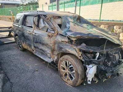 2021 Kia Carnival KNANB81BBMS126678 VIN:KNANB81BBMS126678