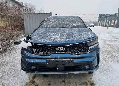 2021 Kia Sorento KNARH81FGMA075279 VIN:KNARH81FGMA075279