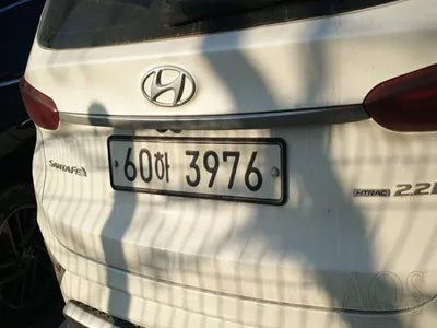 2019 Hyundai Santa FE KMHS581CDKU124309 VIN:KMHS581CDKU124309