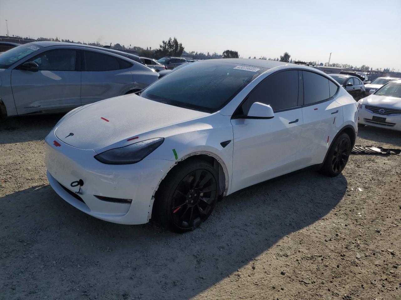 2022 TESLA MODEL Y  VIN:7SAYGDEE9NF411550
