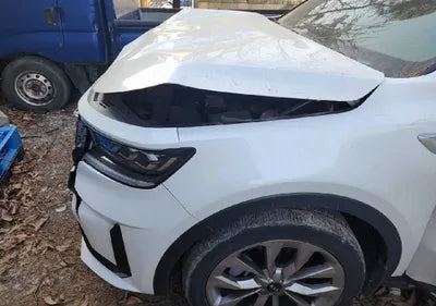 2021 Kia Sorento KNARG81BGMA025824 VIN:KNARG81BGMA025824