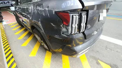 2020 Kia Sorento KNARG81BGMA017381 VIN:KNARG81BGMA017381