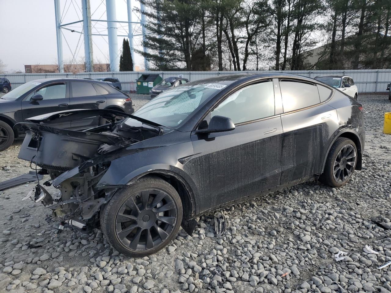 2023 TESLA MODEL Y  VIN:7SAYGDEE8PA094313