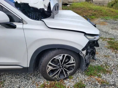 2019 Hyundai Santa FE 953KMKMHS381BDKU1 VIN:953KMKMHS381BDKU1