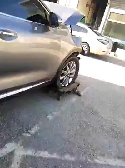 2017 Kia Sorento KNAPH81ABHA342689 VIN:KNAPH81ABHA342689