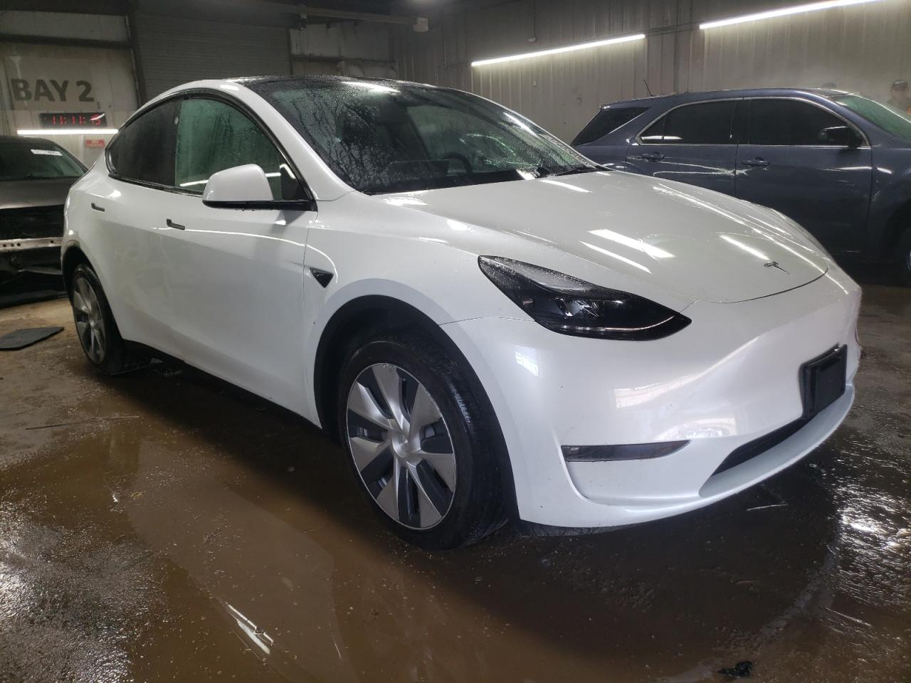 2023 TESLA MODEL Y  VIN:7SAYGDEE6PF806434