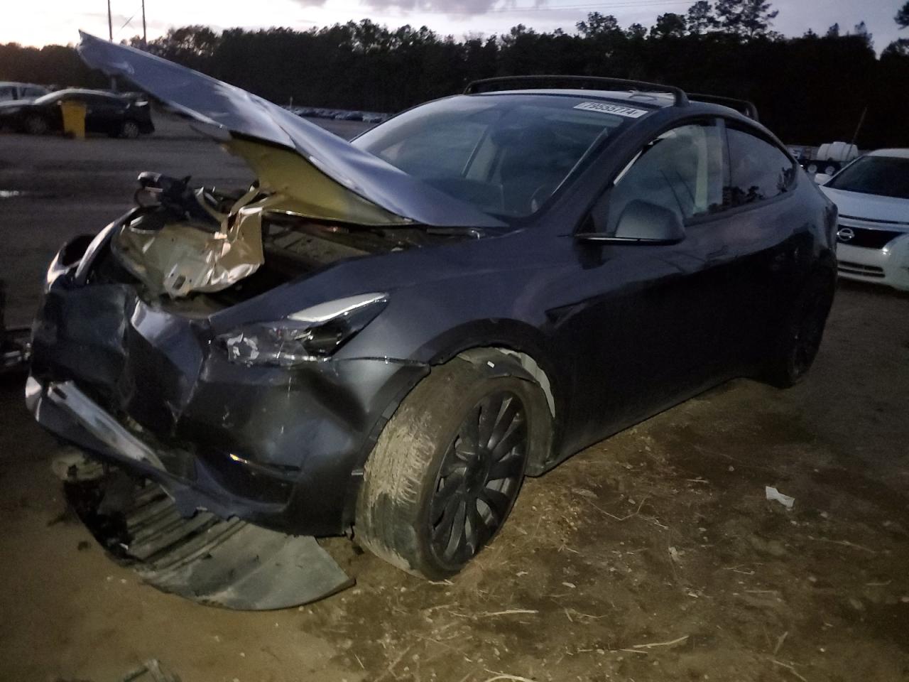 2023 TESLA MODEL Y  VIN:7SAYGDEFXPF941618