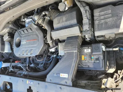 2020 Hyundai Santa FE KMHS381ABLU229579 VIN:KMHS381ABLU229579
