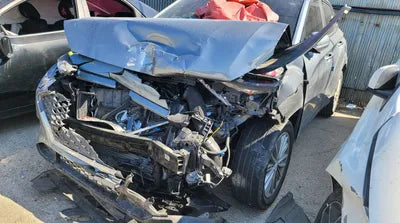 2020 Hyundai Kona KMHK4815HLU574899 VIN:KMHK4815HLU574899