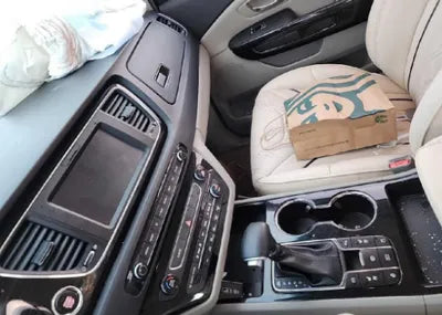 2019 Kia Carnival KNAME811BKS457507 VIN:KNAME811BKS457507