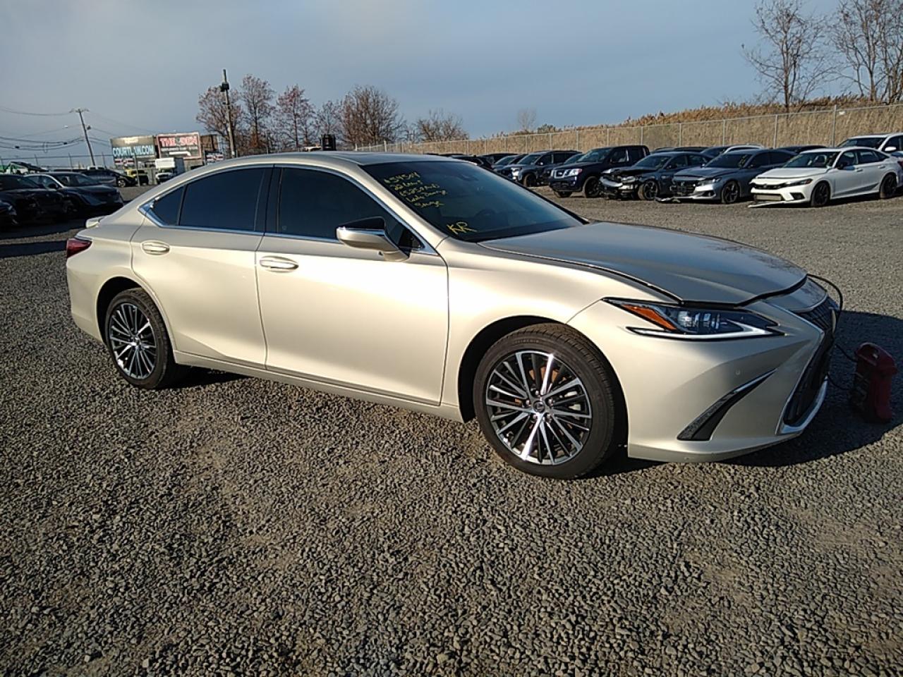 2022 LEXUS ES 250 BASE VIN:58AD11D15NU008493