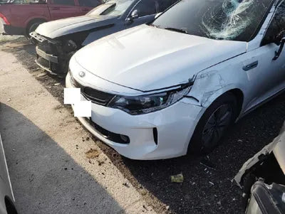 2017 Kia K5 KNAGT41EBHA009834 VIN:KNAGT41EBHA009834