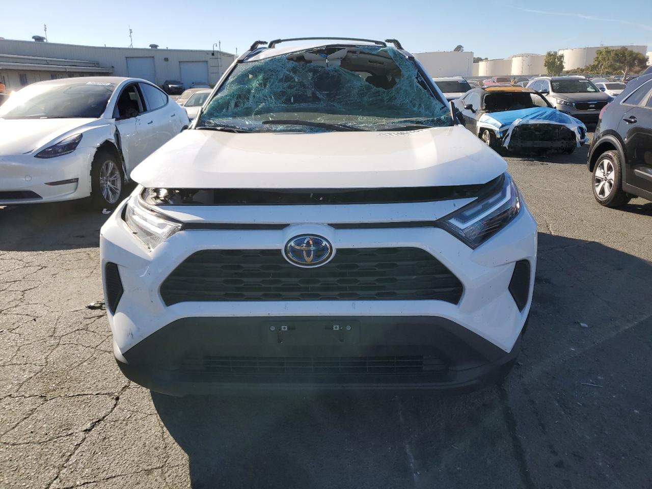 2023 TOYOTA RAV4 XLE VIN:4T3RWRFV4PU083824