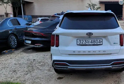 2021 Kia Sorento KNARH81GBMA005423 VIN:KNARH81GBMA005423