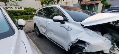 2022 Kia Sorento KNARF81FGNA147334 VIN:KNARF81FGNA147334