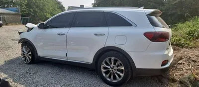2019 Kia Sorento KNAPS81BBLA564800 VIN:KNAPS81BBLA564800