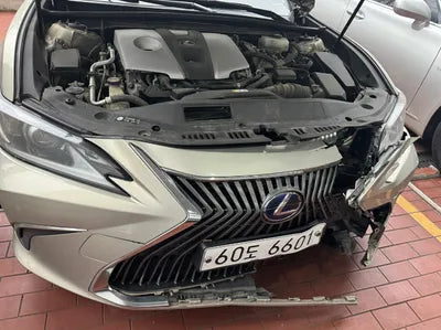 2019 Lexus ES 300 JTHB21B10K2009799 VIN:JTHB21B10K2009799