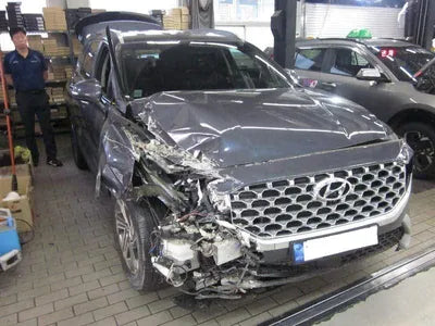 2020 Hyundai Santa FE KMHS381HGMU333983 VIN:KMHS381HGMU333983