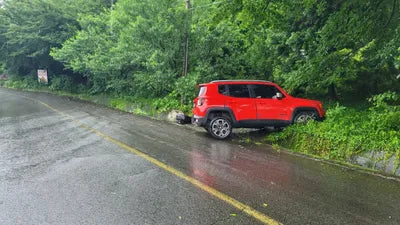 2015 Jeep Renegade 686KM1C4BU0000FPC VIN:686KM1C4BU0000FPC