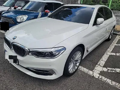 2019 BMW 520 WBAJF3104KWW44729 VIN:WBAJF3104KWW44729