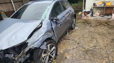 2018 Hyundai Kona KMHK4815GJU089697 VIN:KMHK4815GJU089697