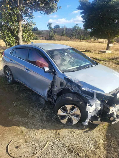 2017 Hyundai Ioniq KMHC051HFJU020754 VIN:KMHC051HFJU020754