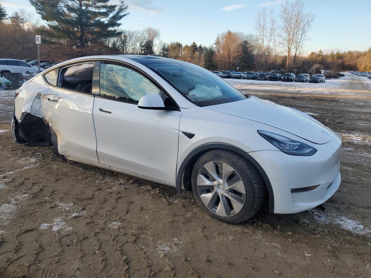 2022 TESLA MODEL Y  VIN:7SAYGDEEXNF319766