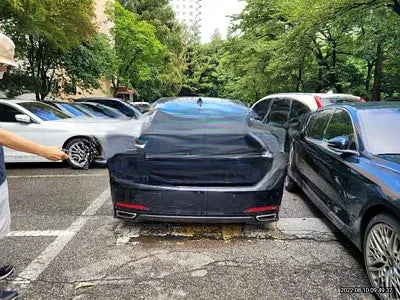 2016 acupuncture nessis 3.3 NONE VIN: