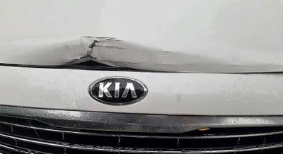 2016 Kia Carnival KNAMC81ABGS160865 VIN:KNAMC81ABGS160865
