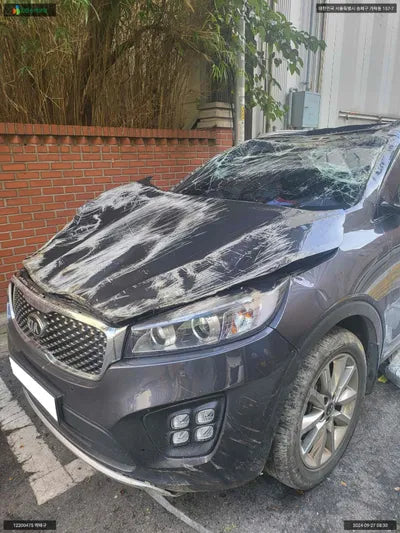 2016 Kia Sorento KNAPH81ADGA250740 VIN:KNAPH81ADGA250740