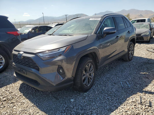 2023 TOYOTA RAV4 XLE PREMIUM VIN:4T3B6RFV5PU131252