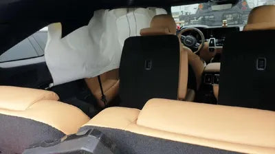 2021 Kia Sorento KNARF81BHNA125531 VIN:KNARF81BHNA125531