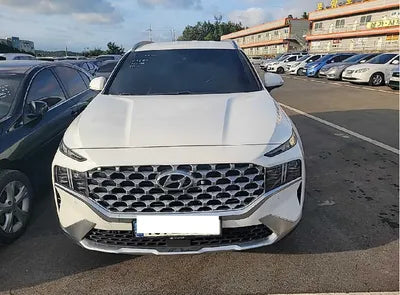 2021 Hyundai Santa FE KMHS381HGMU315041 VIN:KMHS381HGMU315041