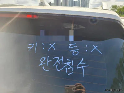 2019 Hyundai Santa FE 030KMKMHS381BBKU0 VIN:030KMKMHS381BBKU0