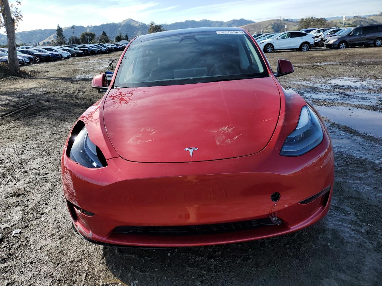 2023 TESLA MODEL Y  VIN:7SAYGDED3PF943225