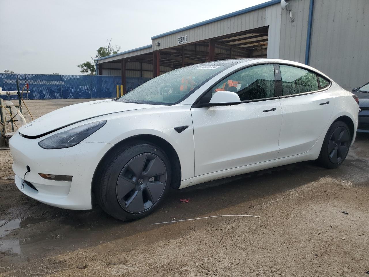 2023 TESLA MODEL 3  VIN:5YJ3E1EA5PF553017