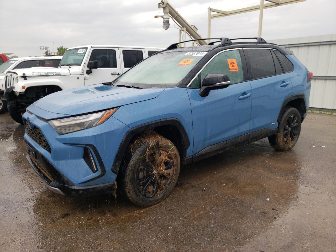 2023 TOYOTA RAV4 XSE VIN:4T3E6RFV3PU105956