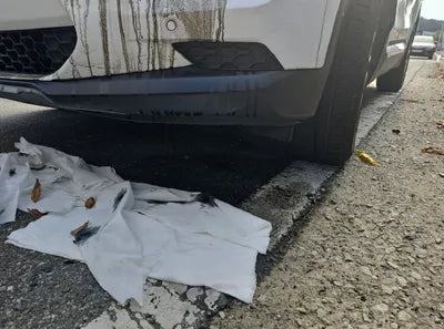 2019 Hyundai Santa FE VIN:
