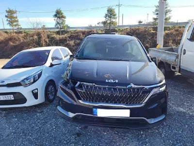 2023 Kia Carnival KNANB813BPS258263 VIN:KNANB813BPS258263